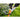 Stihl FSA 30 Battery Line Trimmer